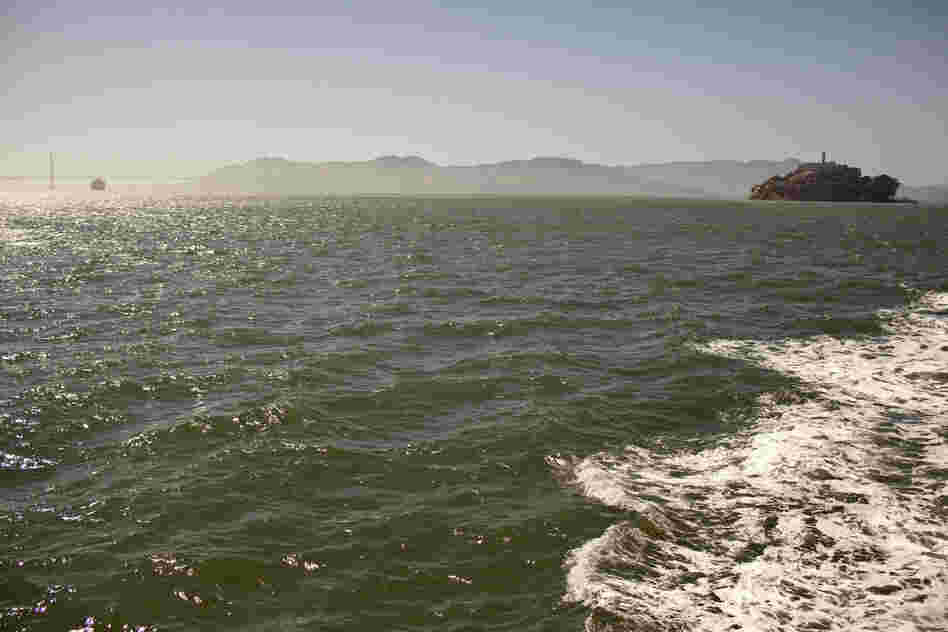 The choppy waters around Alcatraz island. 