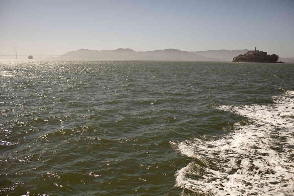 The choppy waters around Alcatraz island. 