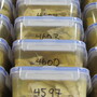 Unrefrigerated brains in preserving solution are stacked high on shelves at the Harvard Brain Tissue Resource Center at McLean Hospital.
