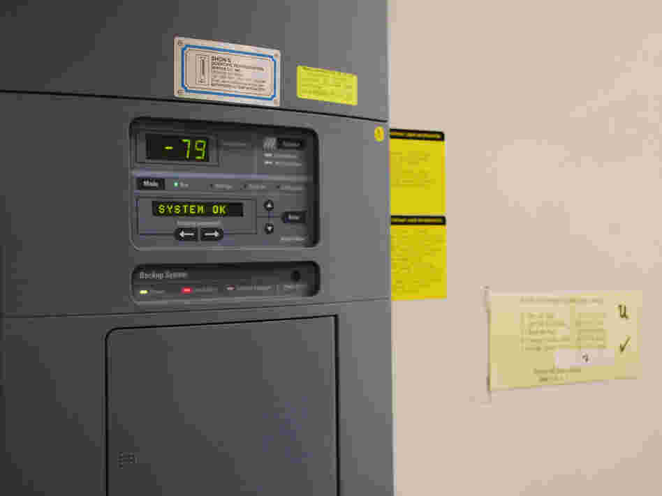 The control panel for freezer U, where a malfunction led to the thawing of brains used in autism research. When operating properly, the freezer temperature is minus 79 degrees Celsius.