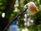 Joe Palca's perfectly toasted marshmallow. Joe Palca's perfectly toasted marshmallow.