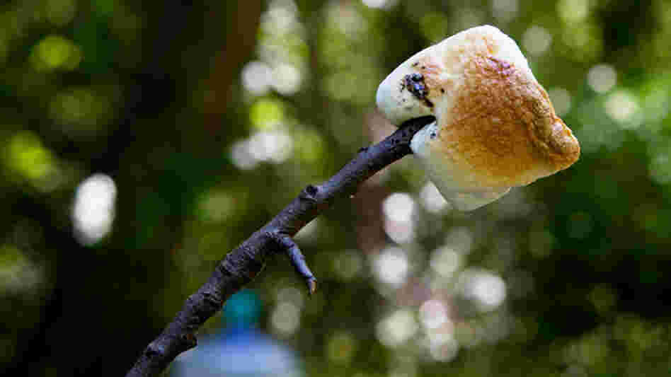 Joe Palca's perfectly toasted marshmallow. Joe Palca's perfectly toasted marshmallow.