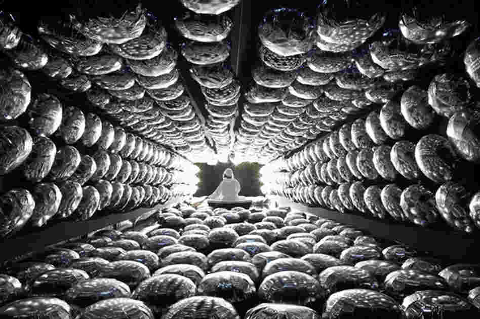 A 2009 London art installation, Super K Sonic Booum, by Nelly Ben Hayoun replicated a neutrino detector, allowing the public to ride in a boat accompanied by the physicists working on the Super-Kamiokande in Japan.