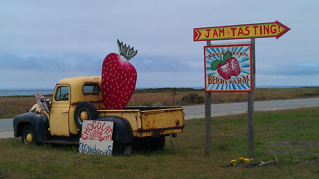 Swanton's customers and other farm stand customers like paying through the honor system, but why?