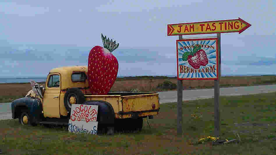 Swanton's customers and other farm stand customers like paying through the honor system, but why?