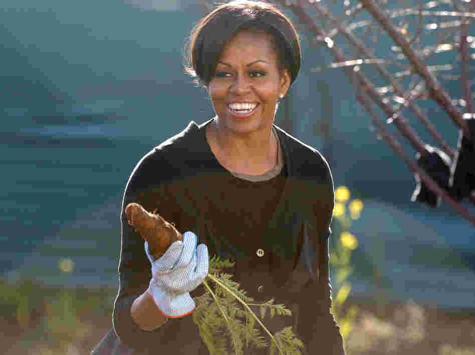 First Lady Michelle Obama gardens in Soweto township, in Johannesburg, South Africa. The first lady has planted a garden on the South Lawn of the White House — it's the first vegetable garden to be planted there since Eleanor Roosevelt's victory garden.