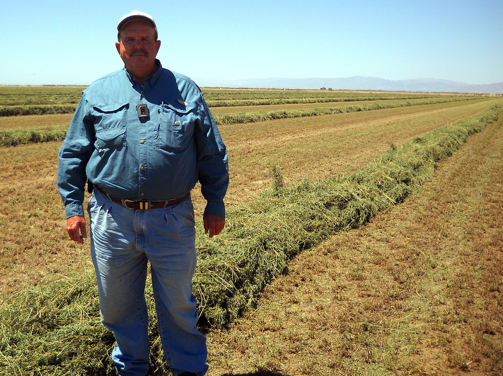 Farmer Al Kalin, 63, has about 2,000 acres of crops along the Salton Sea. He's concerned a water transfer agreement is helping speed the decline of the Salton Sea.