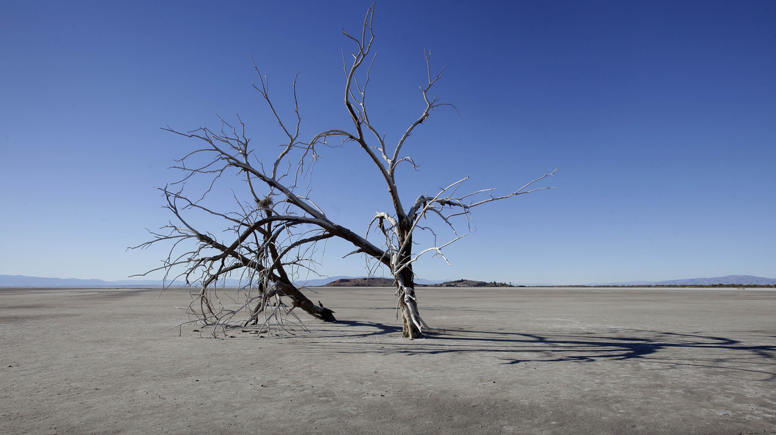 The barren earth and dead trees reveal the blight of the Salton Sea, where water conservation efforts are attempting to restore the once natural playground and tourist site in California.