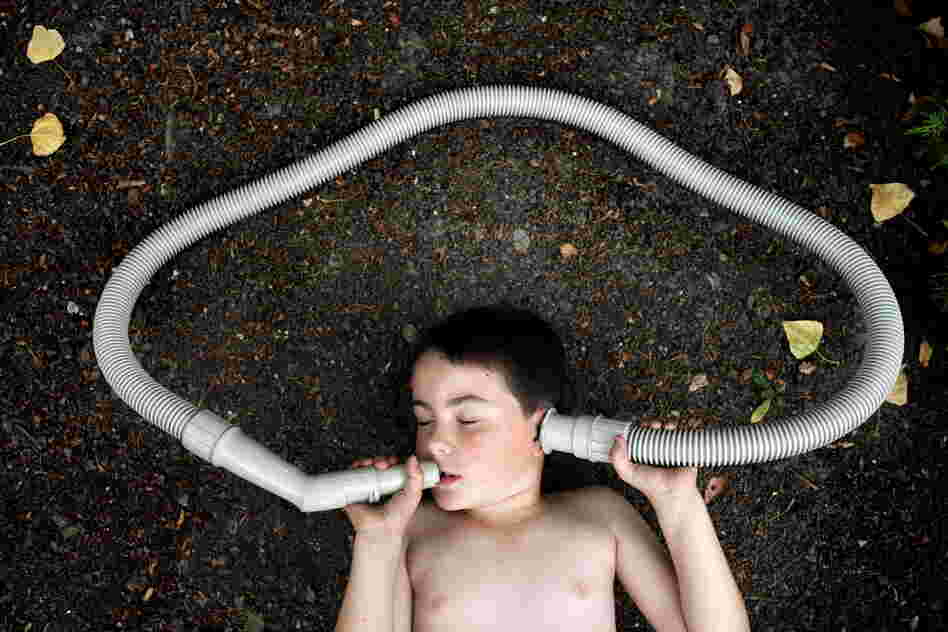 Photos from the series Echolilia