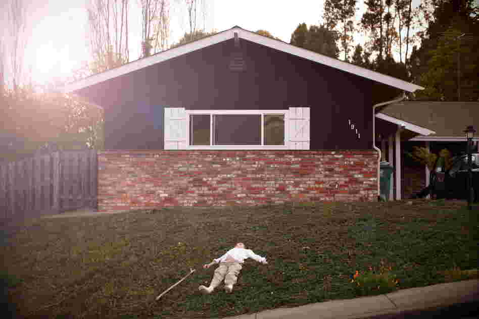 Photos from the series Echolilia