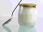 Yogurt is produced by the bacterial fermentation of milk. "Bacteria in our gut enable us to live," says author Sandor Katz. "We could not survive without bacteria." Yogurt is produced by the bacterial fermentation of milk. "Bacteria in our gut enable us to live," says author Sandor Katz. "We could not survive without bacteria."