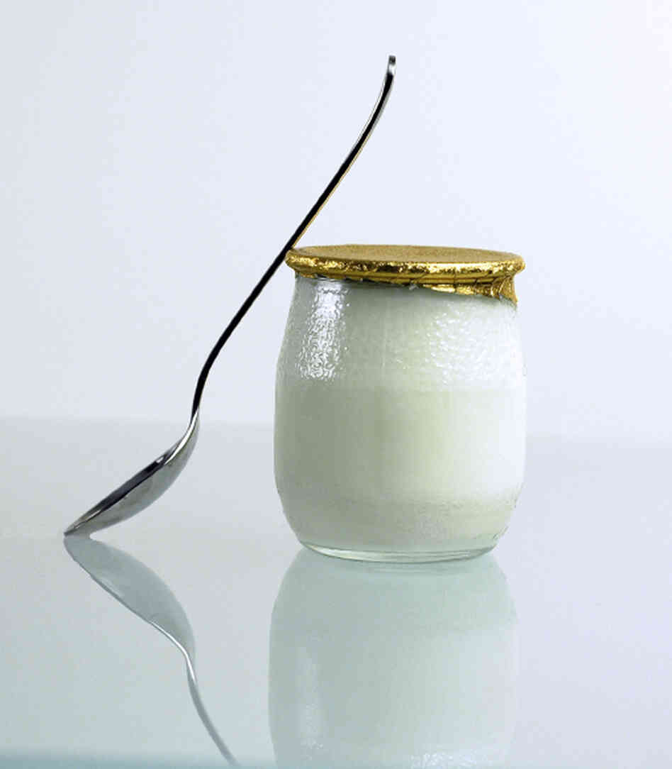 Yogurt is produced by the bacterial fermentation of milk. "Bacteria in our gut enable us to live," says author Sandor Katz. "We could not survive without bacteria." Yogurt is produced by the bacterial fermentation of milk. "Bacteria in our gut enable us to live," says author Sandor Katz. "We could not survive without bacteria."
