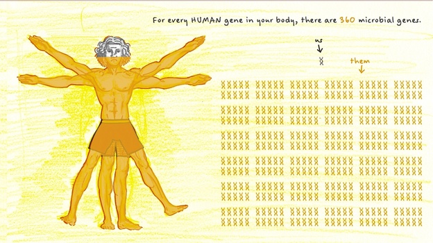For every human gene in your body there are 360 microbial genes.
