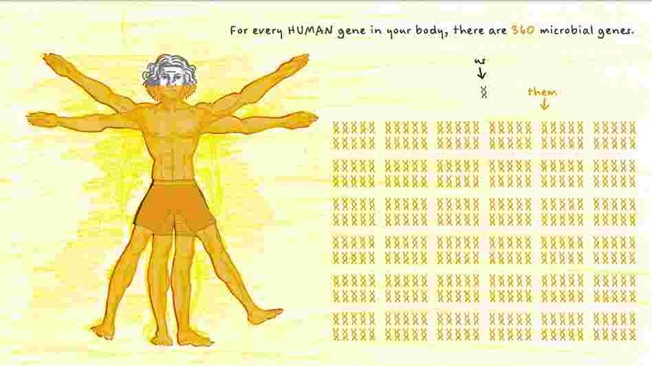For every human gene in your body there are 360 microbial genes.