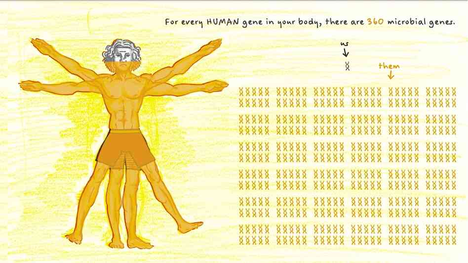 For every human gene in your body there are 360 microbial genes.