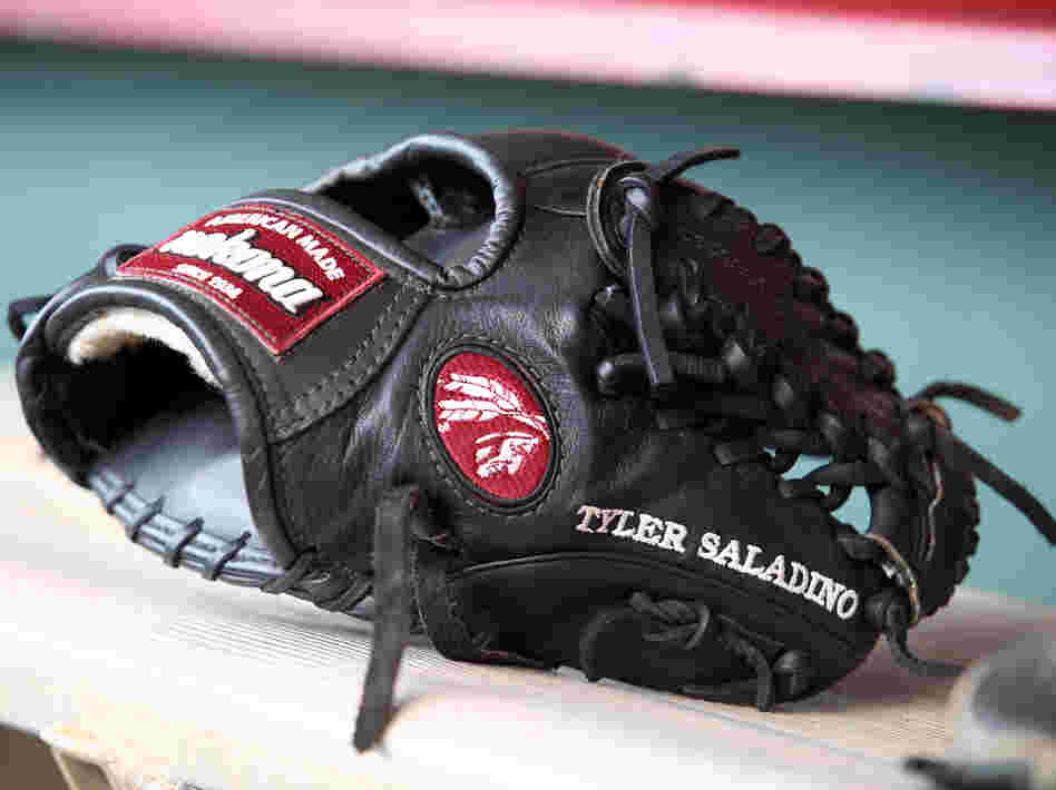 Tyler Saladino's glove.