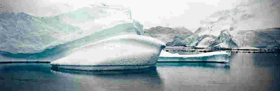 Iceberg and Glacier, Antarctic Peninsula, December 2007