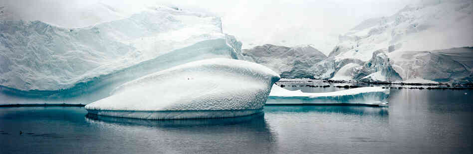 Iceberg and Glacier, Antarctic Peninsula, December 2007