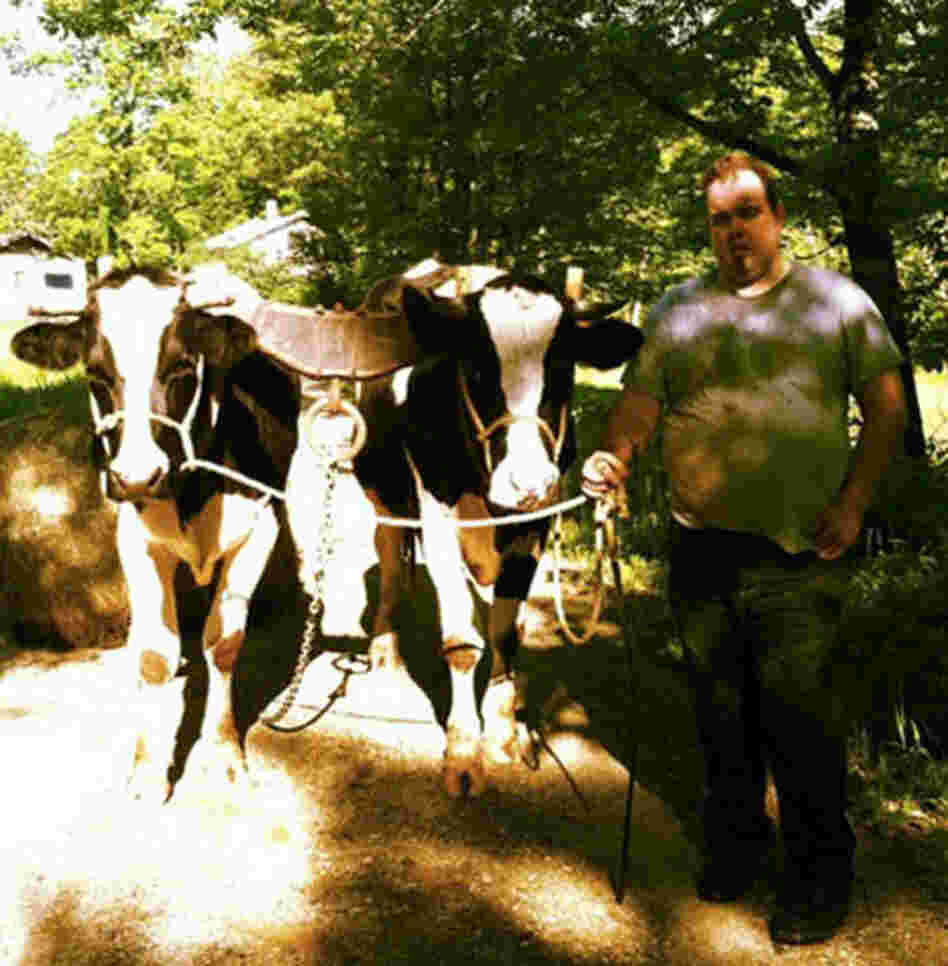 Michael K Chase and his cows, Click (R) and Clack (L) Michael K Chase and his cows, Click (R) and Clack (L)