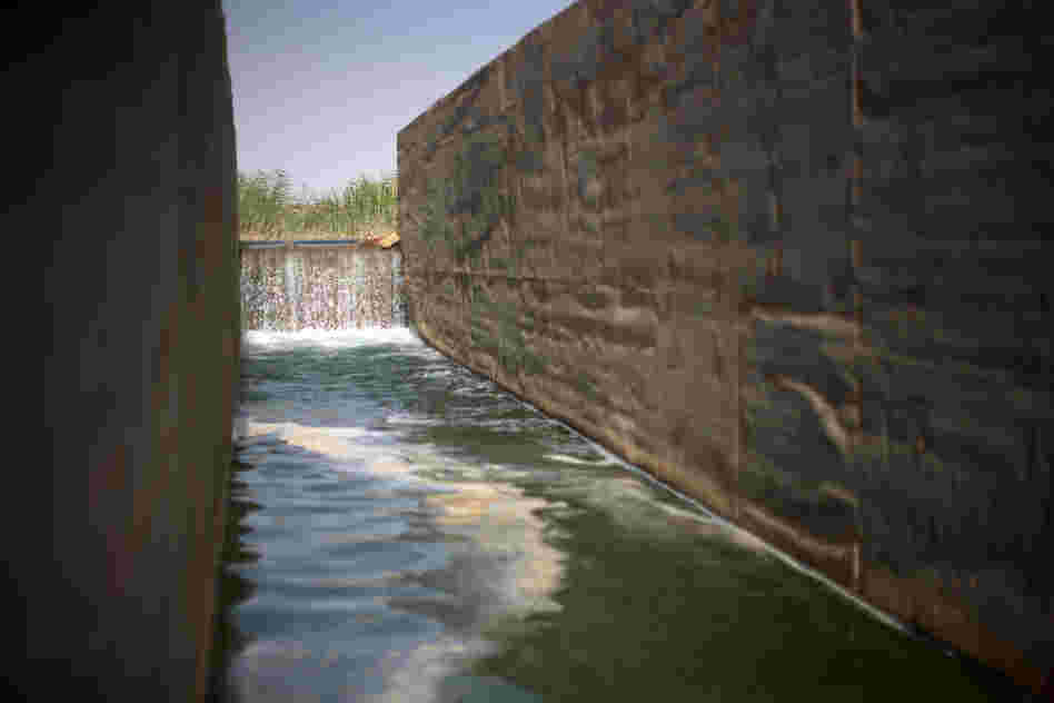 Water pumped from Lake Nasser cascades down an irrigation canal to crops on South Valley Company land.