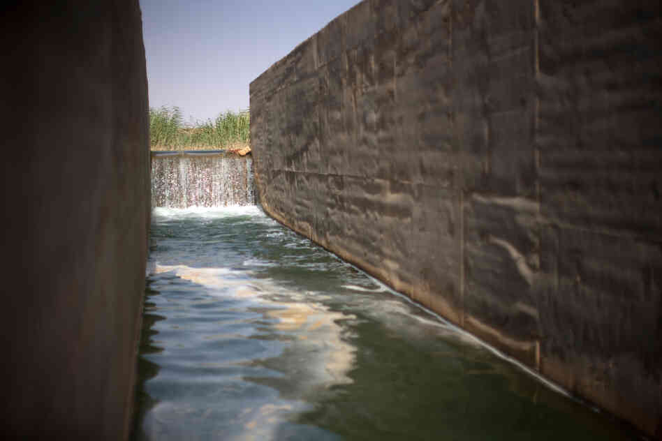 Water pumped from Lake Nasser cascades down an irrigation canal to crops on South Valley Company land.