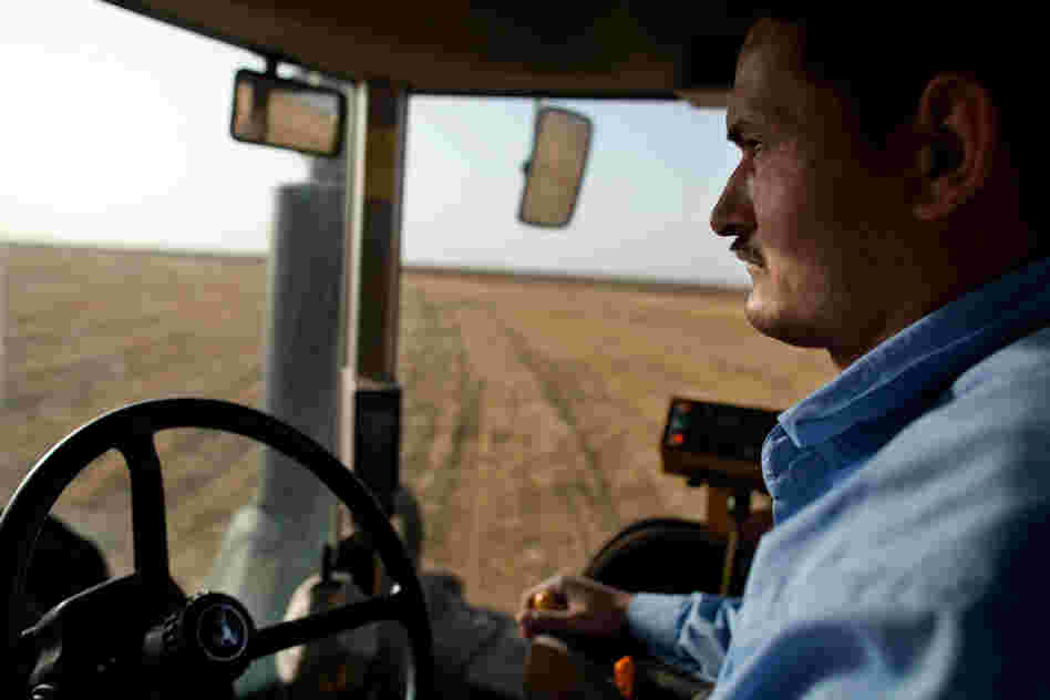 Khaled Mohamed tills the soil after a wheat harvest at KADCO.
