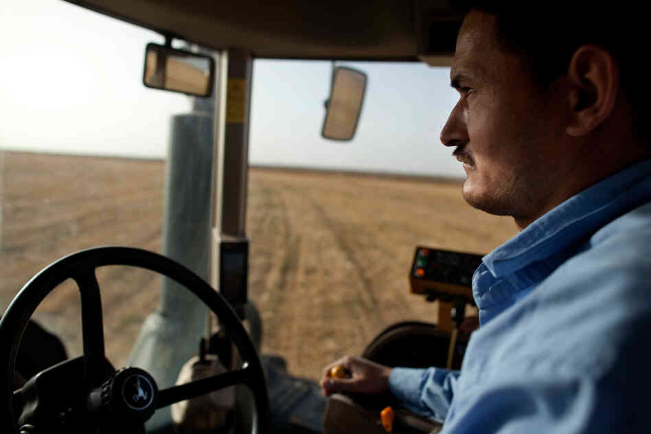 Khaled Mohamed tills the soil after a wheat harvest at KADCO.