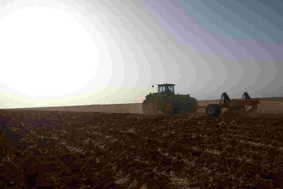 Critics say Egypt lacks the means to transport large quantities of wheat and other produce from Toshka to the rest of the country. 