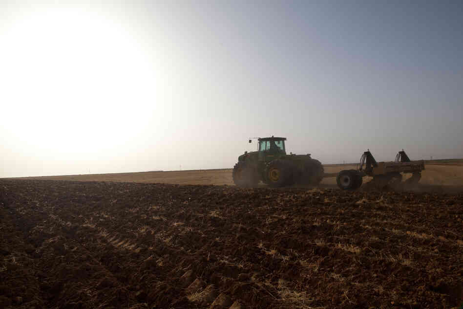 Critics say Egypt lacks the means to transport large quantities of wheat and other produce from Toshka to the rest of the country. 