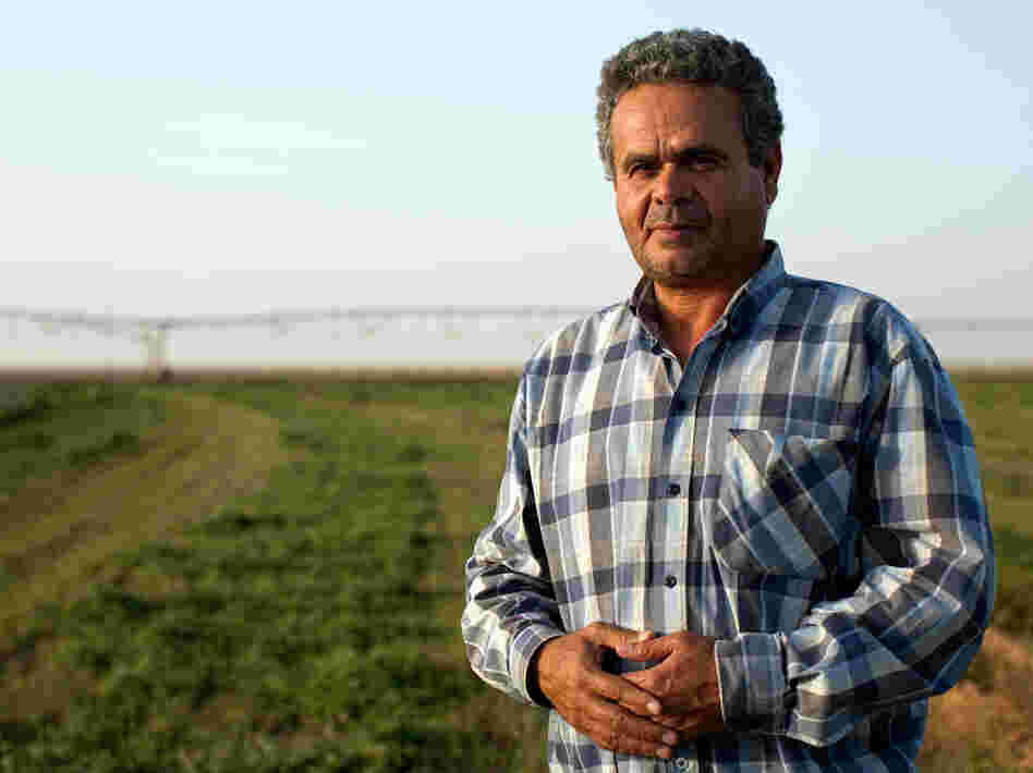 Ibrahim Dahrouk, a crop manager at Saudi-owned Kingdom Agricultural Development Company in Toshka, says the farm provides hundreds of jobs to local residents, including women. The wages of $6 to $9 a day are considered good for the region.
