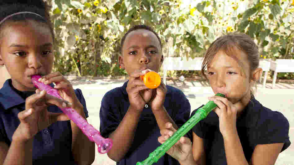 Can you fall in love with the sound of a plastic recorder?