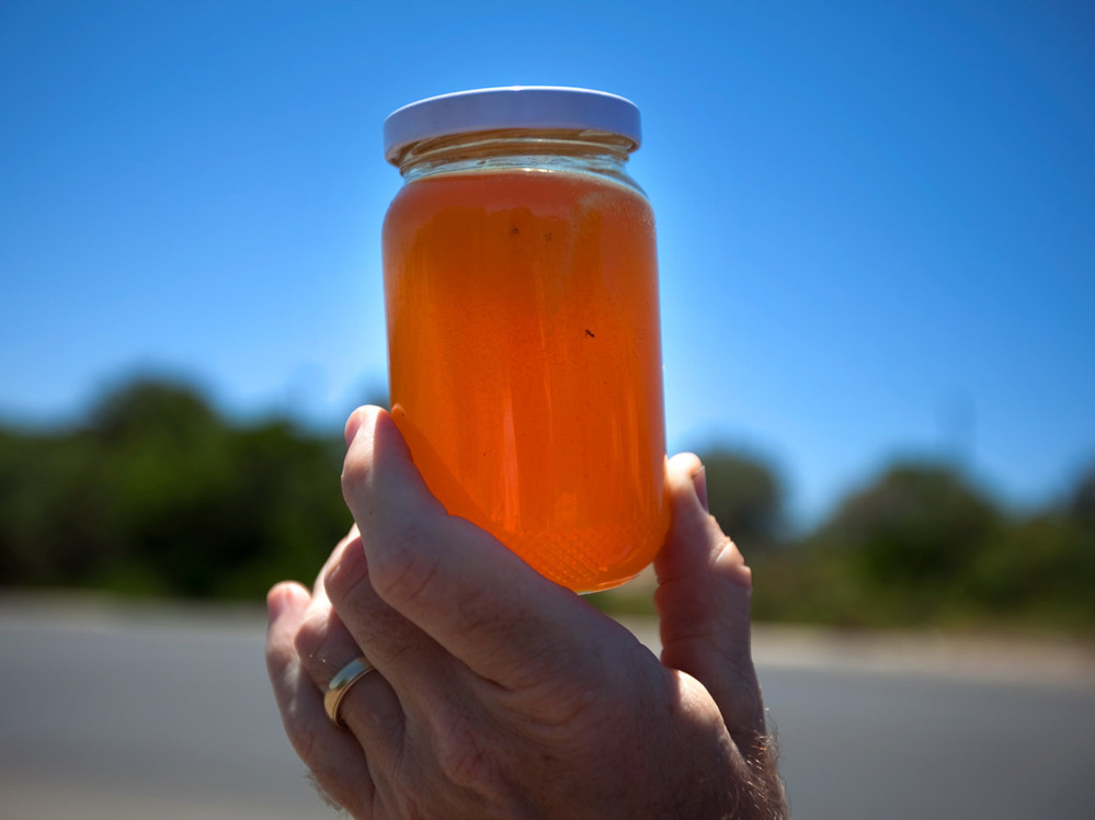 A jar of roadside honey from the Green Mountains in Libya.