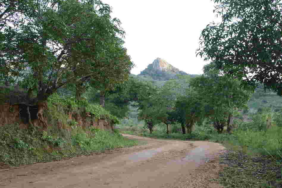 Getting to the village of Ruasse, in northern Mozambique, involved driving 60 miles on this road. Paved roads are scarce in this country.