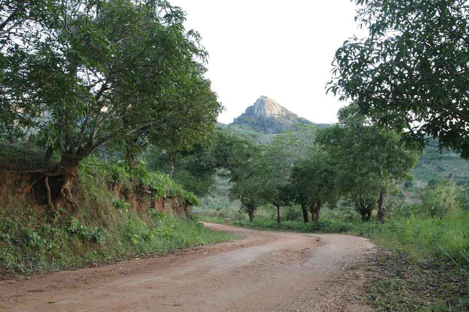 Getting to the village of Ruasse, in northern Mozambique, involved driving 60 miles on this road. Paved roads are scarce in this country.