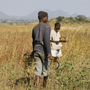 Workers harvest sesame, an oilseed crop, on the large farm that Quifel Natural Resources has set up in northern Mozambique. Workers harvest sesame, an oilseed crop, on the large farm that Quifel Natural Resources has set up in northern Mozambique.