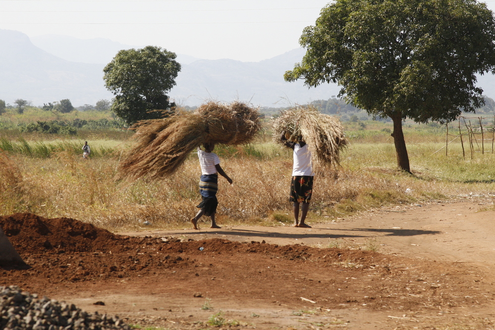 Farming, like most other tasks, is done by hand in rural Mozambique.
