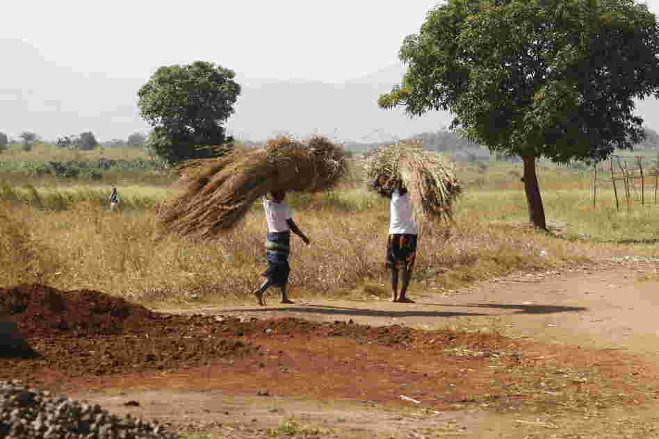 Farming, like most other tasks, is done by hand in rural Mozambique.
