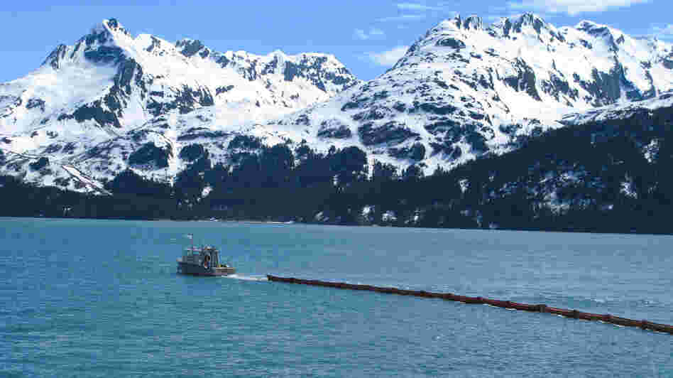 The first step in responding to oil spills is to try to ring the oil with floating booms.