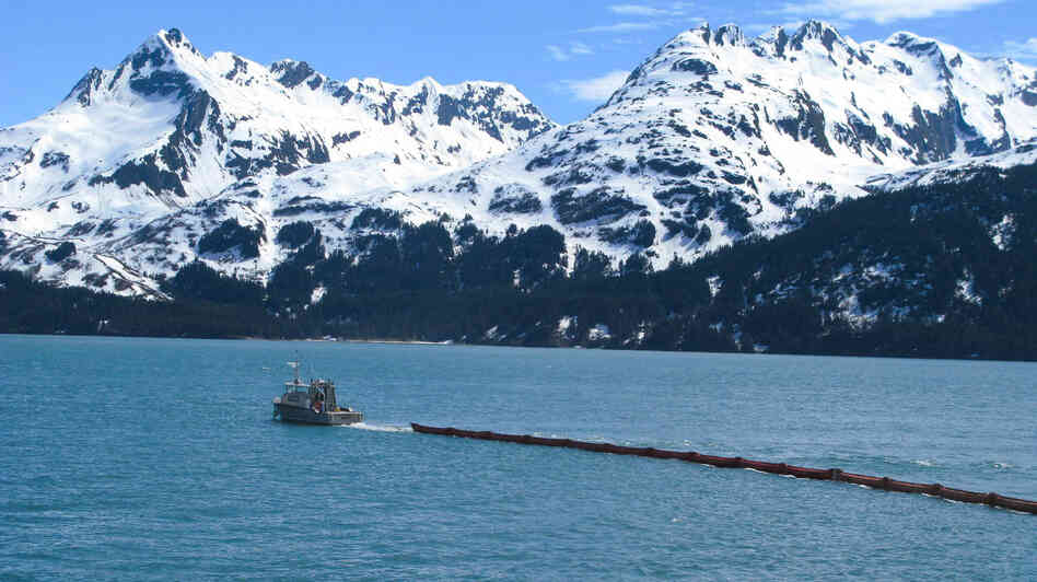 The first step in responding to oil spills is to try to ring the oil with floating booms.
