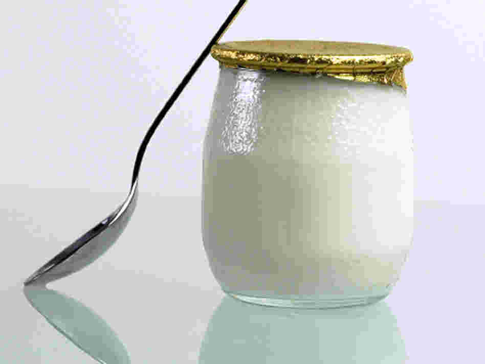 Yogurt is produced by the bacterial fermentation of milk. "Bacteria in our gut enable us to live," says author Sandor Katz. "We could not survive without bacteria." Yogurt is produced by the bacterial fermentation of milk. "Bacteria in our gut enable us to live," says author Sandor Katz. "We could not survive without bacteria."