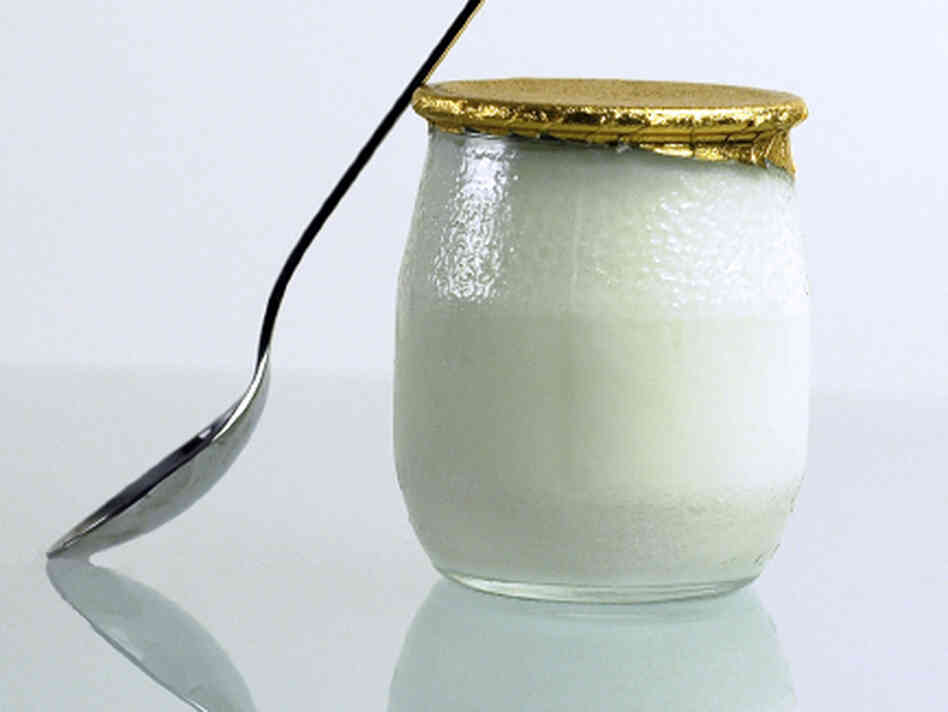 Yogurt is produced by the bacterial fermentation of milk. "Bacteria in our gut enable us to live," says author Sandor Katz. "We could not survive without bacteria." Yogurt is produced by the bacterial fermentation of milk. "Bacteria in our gut enable us to live," says author Sandor Katz. "We could not survive without bacteria."