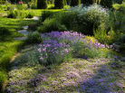 Chanticleer is a historical estate and garden in Wayne, Pa., part of the old Main Line ring of estates around Philadelphia. Chanticleer is a historical estate and garden in Wayne, Pa., part of the old Main Line ring of estates around Philadelphia.