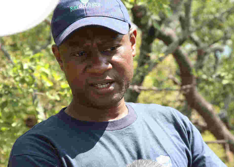 Chishamiso Mawoyo, who grew up in Zimbabwe, is chief operating officer of Aslan Group Africa.