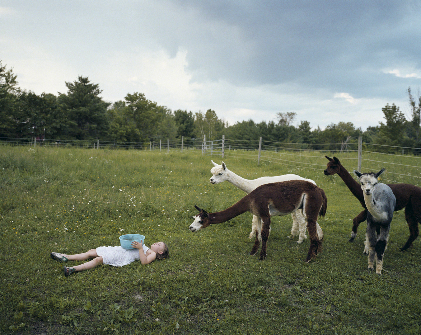 Photos from the ongoing series, Amelia's World