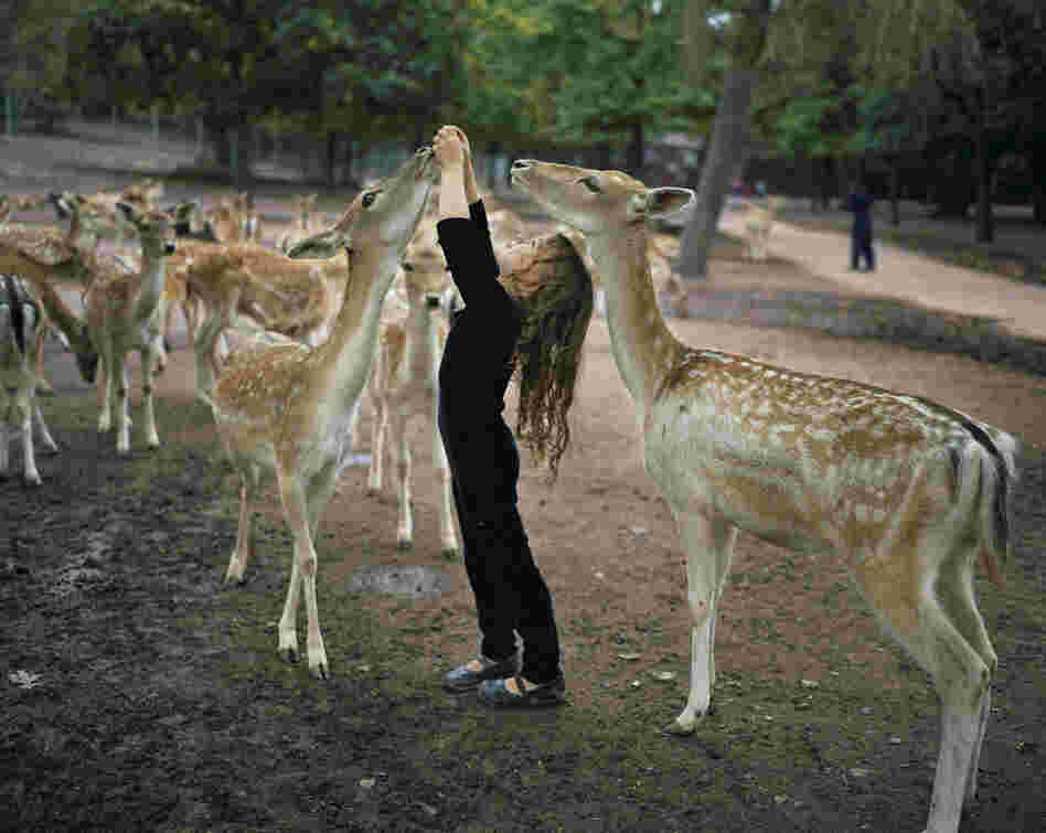 Photos from the ongoing series, Amelia's World