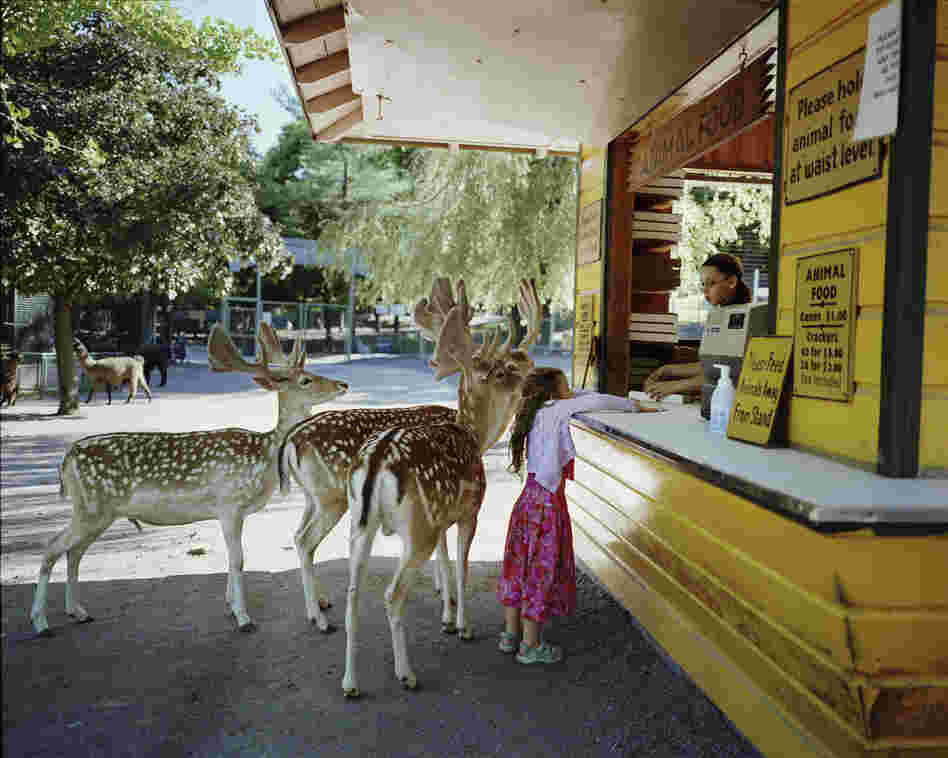 Photos from the ongoing series, Amelia's World