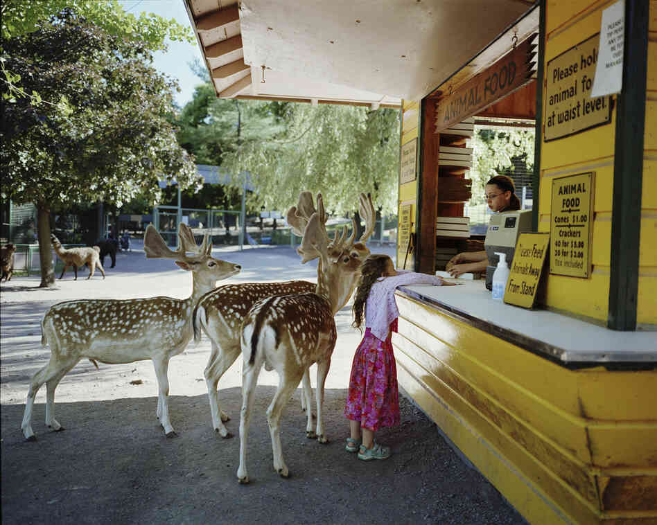 Photos from the ongoing series, Amelia's World