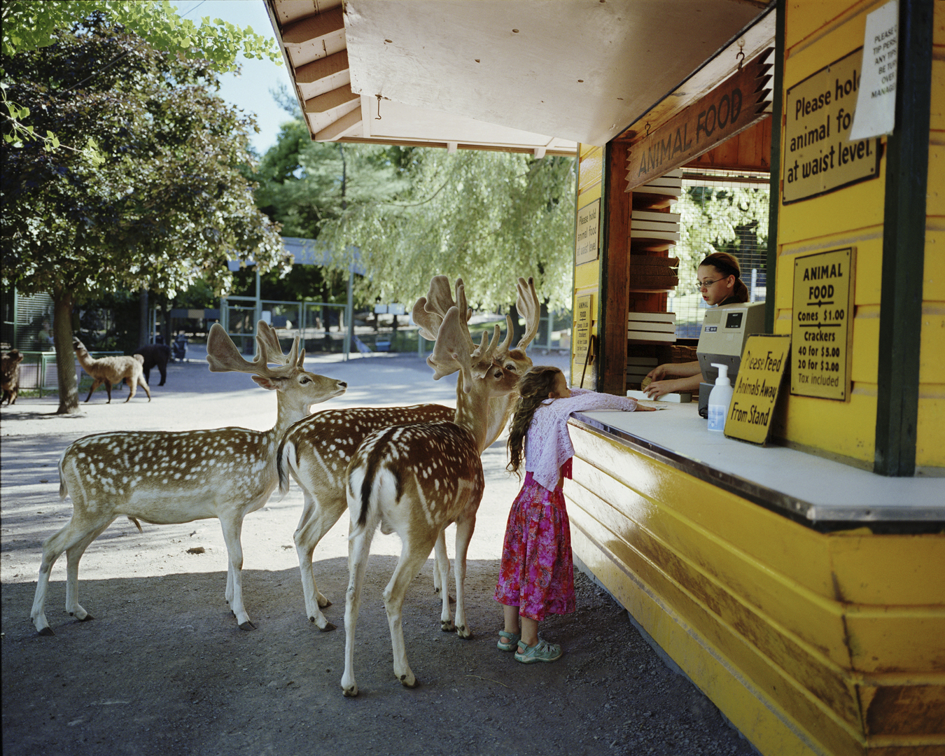 Photos from the ongoing series, Amelia's World
