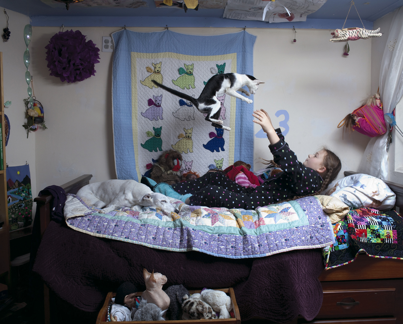 Photos from the ongoing series, Amelia's World