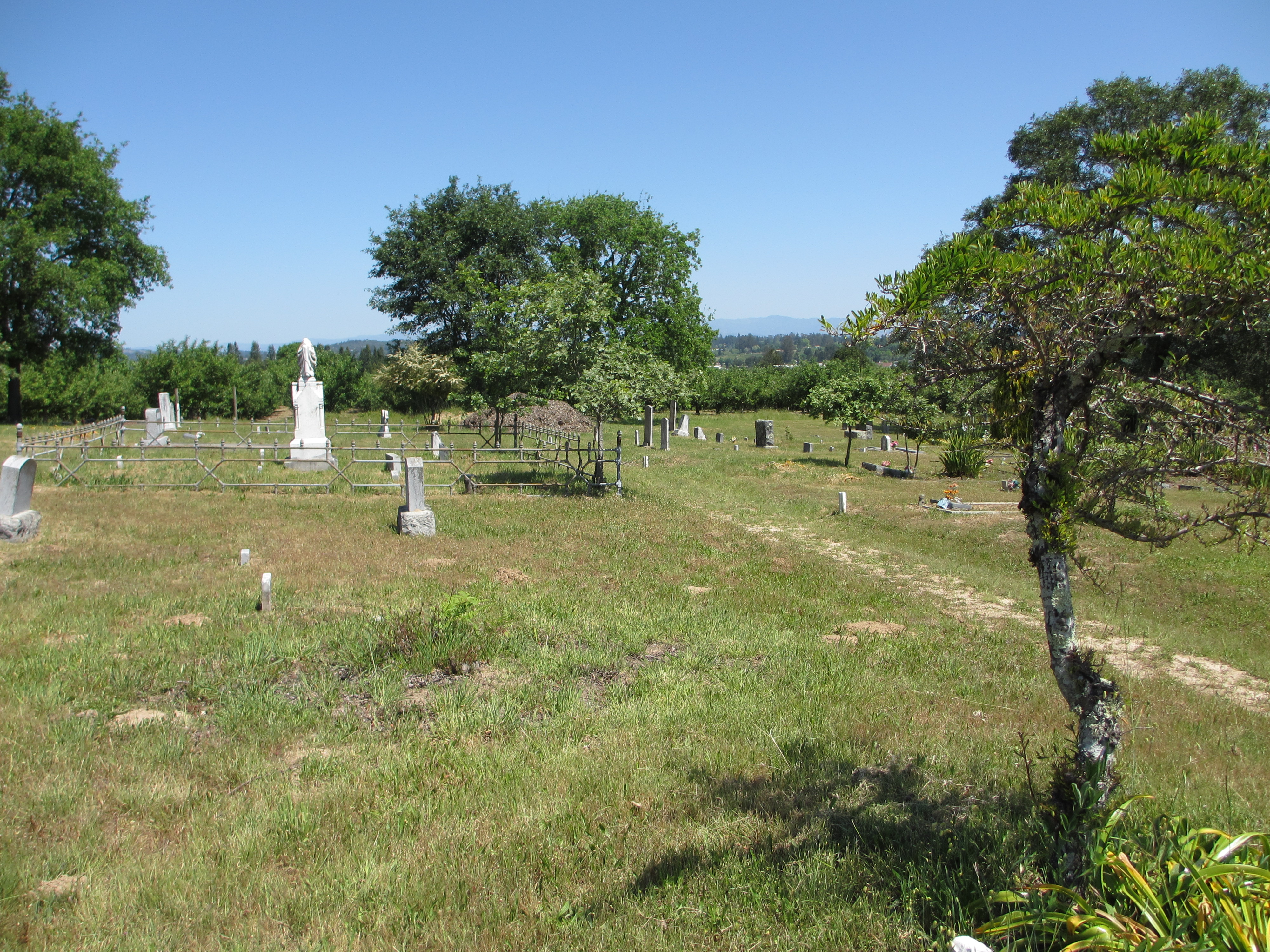 Some of the oldest headstones at the Gilliam Cemetery were broken and buried by two factors: the 1906 earthquake that also hit nearby San Francisco, and plant and animal life that mounded dirt over broken stones. (Image credit: NPR)